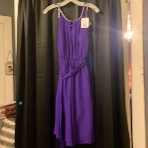 Size 6 woman’s spring dress purple brand new never worn with tags.